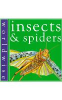 Insects & Spiders