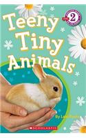 Teeny Tiny Animals