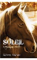 Soleil a Mustang's Story