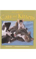 All about Cats and Kittens