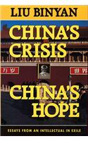 China's Crisis, China's Hope