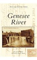 Genesee River