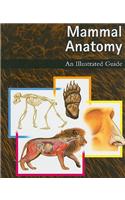 Mammal Anatomy