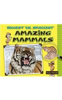 Biggest vs. Smallest Amazing Mammals