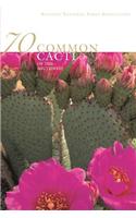 70 Common Cacti of the Southwest