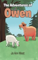 The Adventures of Owen