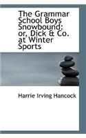 The Grammar School Boys Snowbound: Or, Dick & Co. at Winter Sports