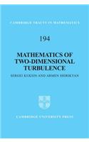 Mathematics of Two-Dimensional Turbulence: (Series Number 194 Cambridge Tracts in Mathematics)