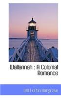 Wallannah: A Colonial Romance: A Colonial Romance