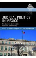 Judicial Politics in Mexico