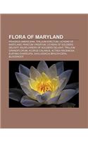 Flora of Maryland: Fraxinus Americana, Trillium Erectum, Lichens of Maryland, Panicum Virgatum, Lichens of Soldiers Delight(English)