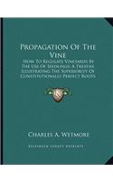 Propagation Of The Vine