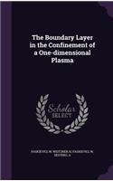 Boundary Layer in the Confinement of a One-Dimensional Plasma