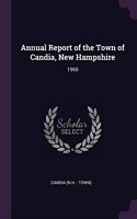 Annual Report of the Town of Candia, New Hampshire: 1969