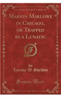 Marion Marlowe in Chicago, or Trapped by a Lunatic (Classic Reprint)