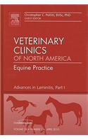 Advances in Laminitis, Part I, an Issue of Veterinary Clinics: Equine Practice