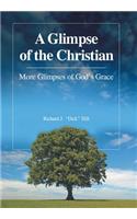 Glimpse of the Christian: More Glimpses of God’s Grace