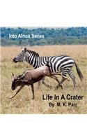 Into Africa Series