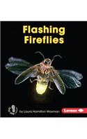 Flashing Fireflies