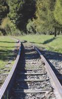 Train Tracks Through Idaho Field Journal