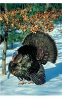 Journal Turkey Snow Scene