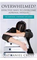 Overwhelmed? Effective Ways to Overcome Adrenal Fatigue