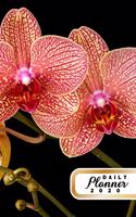 Daily Planner 2020: Orchid Flowers Gardening 52 Weeks 365 Day Daily Planner for Year 2020 6"x9" Everyday Organizer Monday to Sunday Flower Grower Indoor Plants Life Pla
