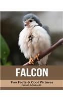 Falcon: Fun Facts & Cool Pictures