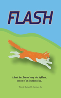 Flash