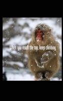 When You Reach the Top, Keep Climbing: Japanese Snow Monkey 6x9 Inch Lined Journal/Notebook - A Beautifully Photographed Snow Monkey in Japan