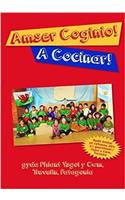 Amser Coginio / A Cocinar - Llyfr Coginio Ysgol y Felin: Llyfr Coginio Ysgol y Felin