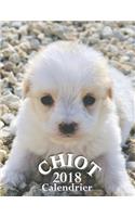 Chiot 2018 Calendrier (Edition France)