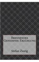 Brennendes Geheimnis