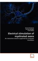 Electrical stimulation of myelinated axons