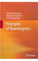 Principles of Bioenergetics