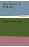 Bricks Without Straw: (English)