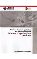 Principes directeurs applicables à la prévention du crime: Manuel d'application pratique