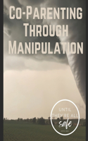 Co-Parenting Through Manipulation: A Comprehensive Guide to Safety, Empowerment, and Rebuilding Your Future