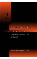 Econometrics - Volume 2: Econometrics and the Cost of Capital(Econometrics - Volume 2)
