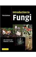 Introduction to Fungi