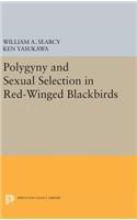 Polygyny and Sexual Selection in Red-Winged Blackbirds