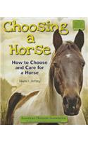 Choosing a Horse