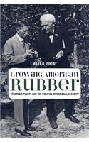 Growing American Rubber
