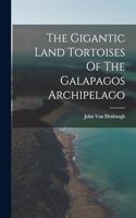 The Gigantic Land Tortoises Of The Galapagos Archipelago