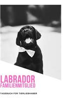 Labrador Familienmitglied