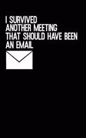 I Survived Another Meeting That Should Have Been An Email: Blank lined journal for your busy mom and dad. Gag Gift. 6x9 inches, 100 pages.
