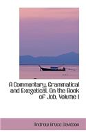 A Commentary, Grammatical and Exegetical, on the Book of Job, Volume I