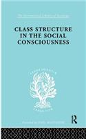 Class Structure in the Social Consciousness