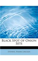 Black Spot of Onion Sets