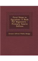 First Steps in Egyptian: A Book for Beginners